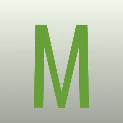 Мегаполис СК, страховой агент, лого-визитка